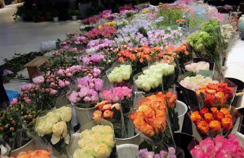 上海最大的花卉零售集市古北花世界备足货源迎 五一